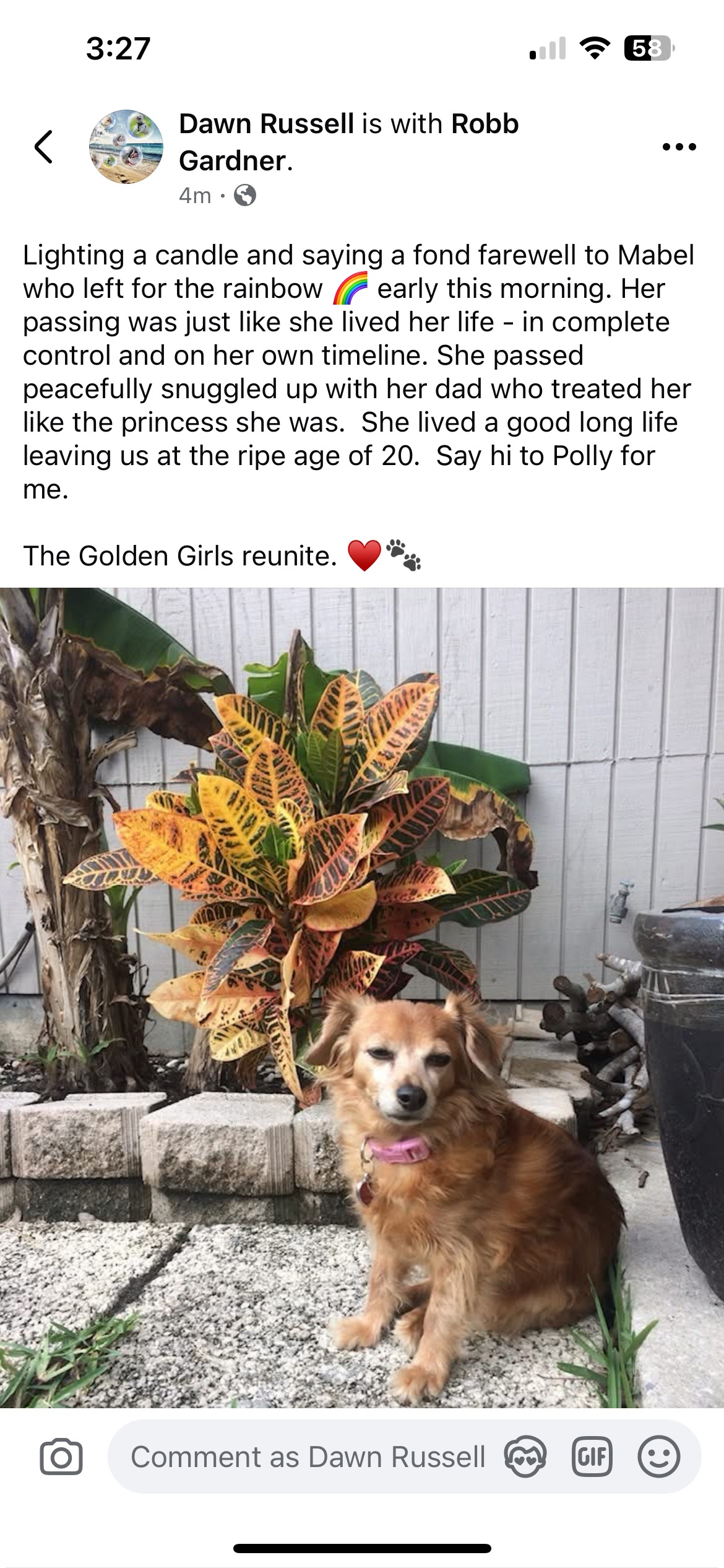 Mabel (Orlando, Florida)